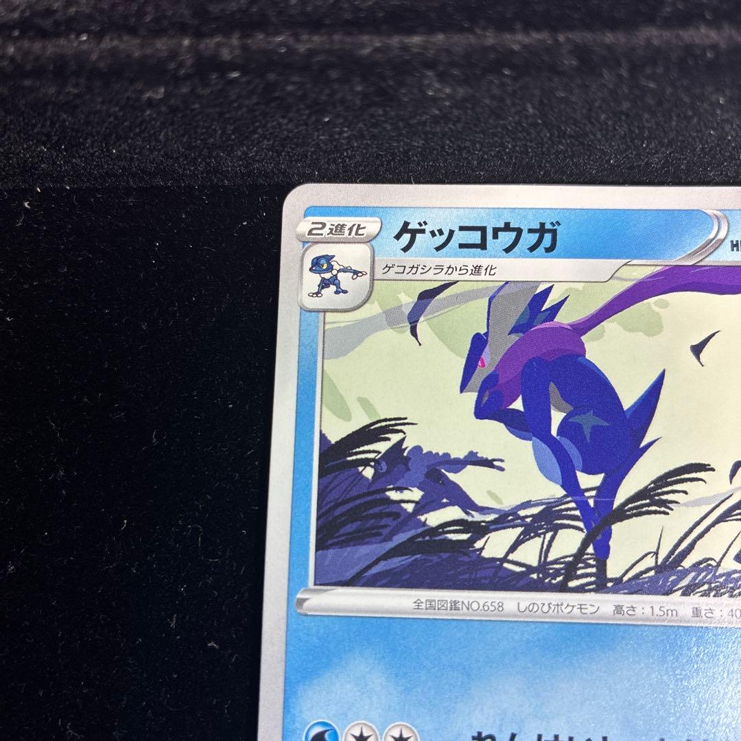 【高騰中】【24時間以内発送】ゲッコウガ　339 2022イラストレーション