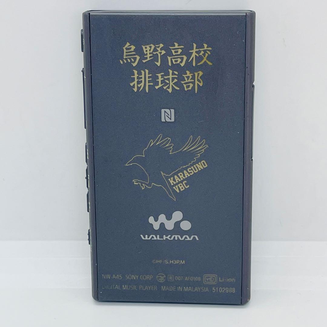 SONY WALKMAN NW-A45 「烏野高校モデル」