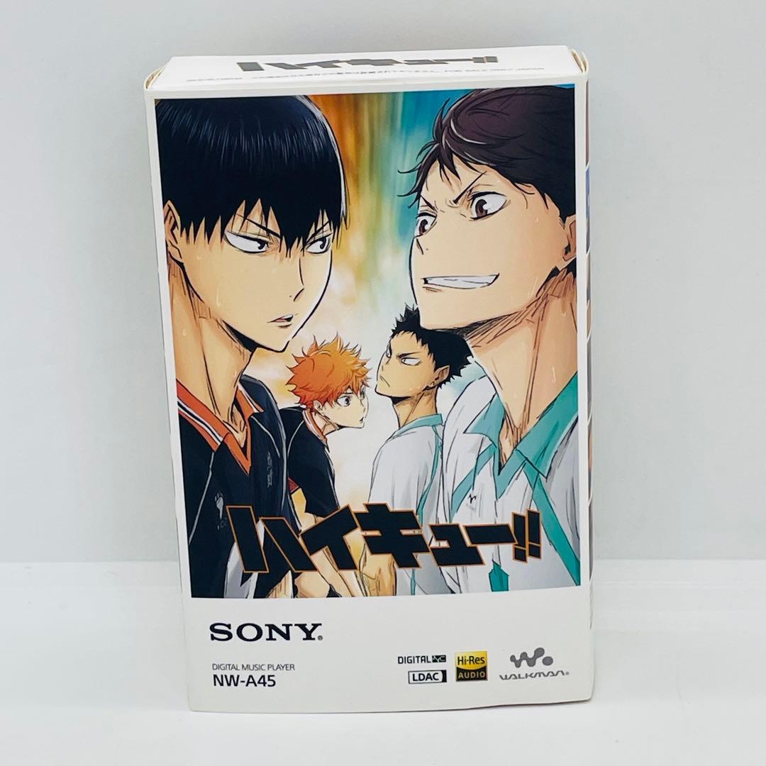 SONY WALKMAN NW-A45 「烏野高校モデル」