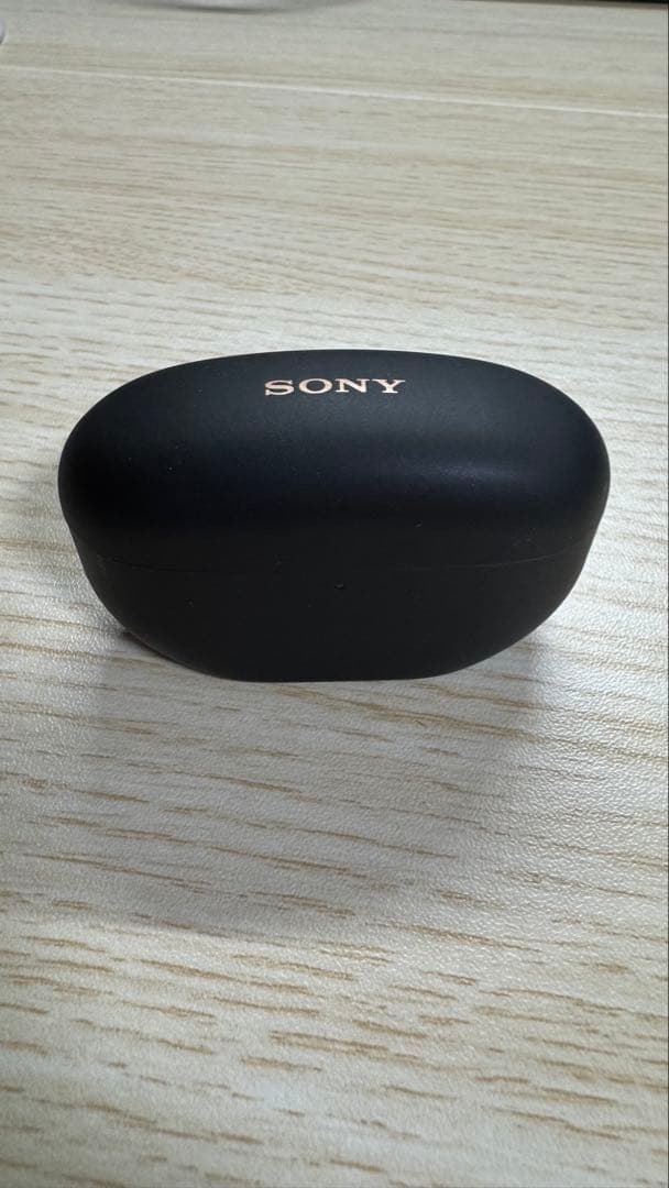 SONY WF-1000XM5付属　ブラック　充電ケース