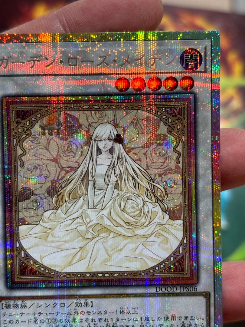 ガーデン・ローズ・メイデン【プリズマティック/☆5】　限定時間　早勝