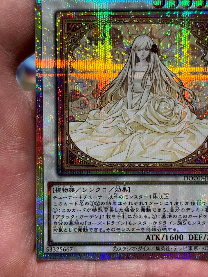 ガーデン・ローズ・メイデン【プリズマティック/☆5】　限定時間　早勝