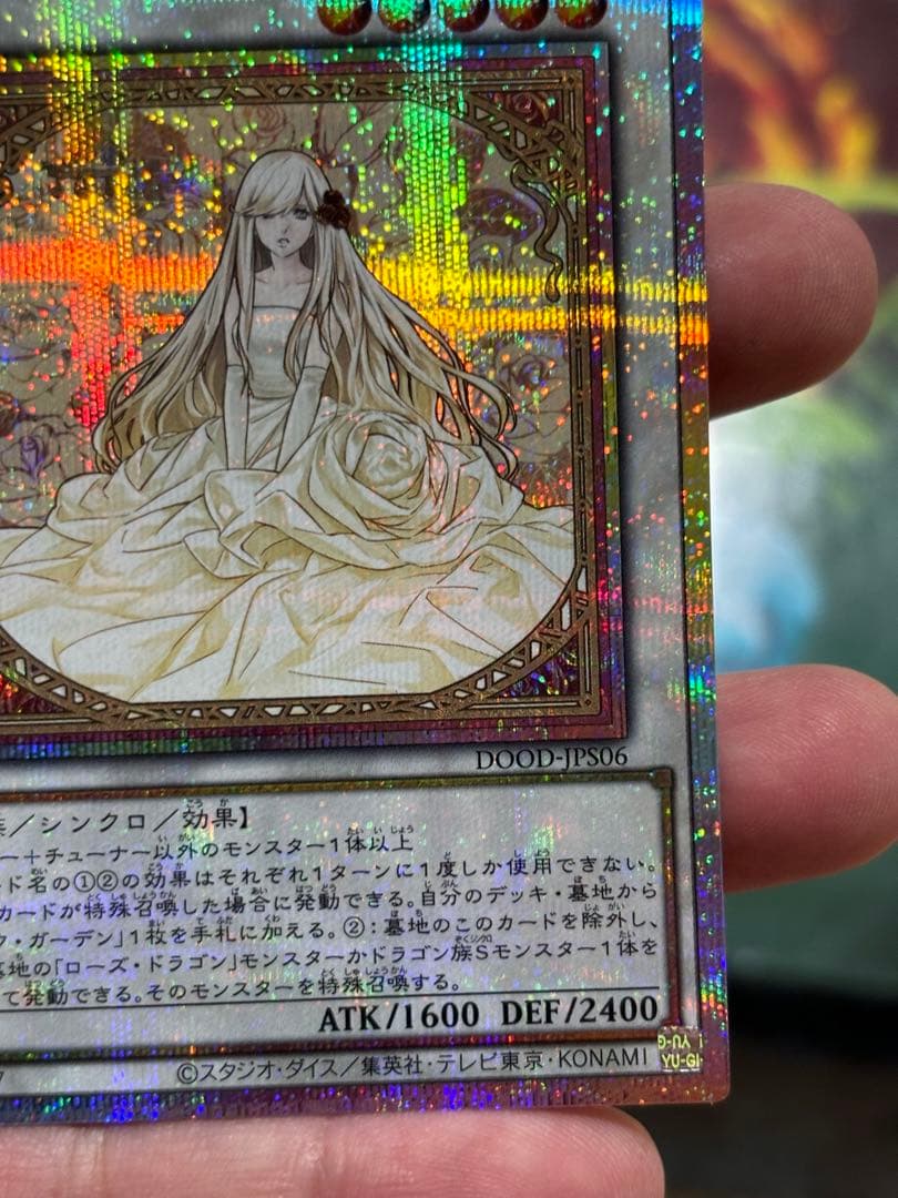 ガーデン・ローズ・メイデン【プリズマティック/☆5】　限定時間　早勝