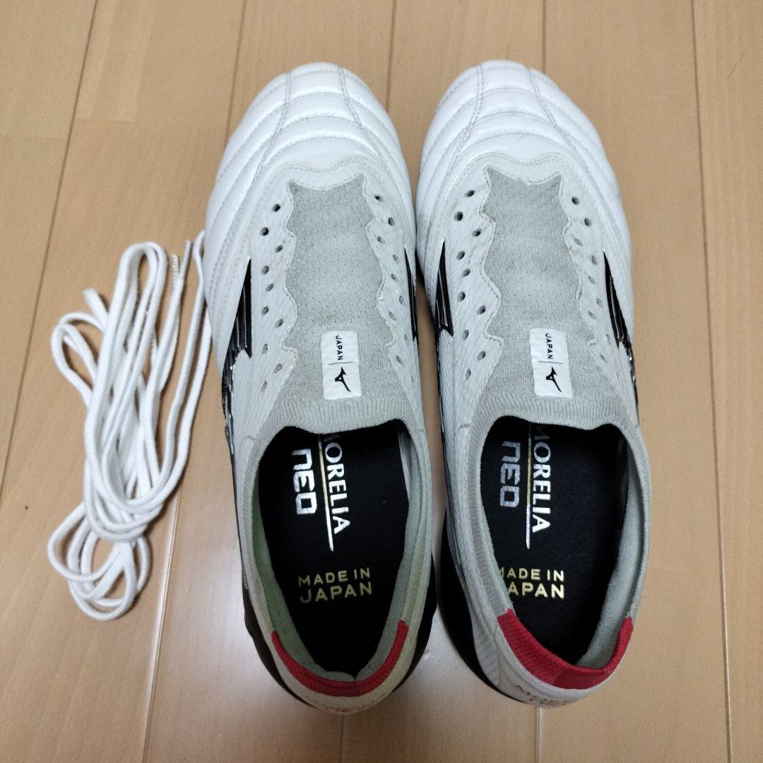 モレリアネオ4β 25cm