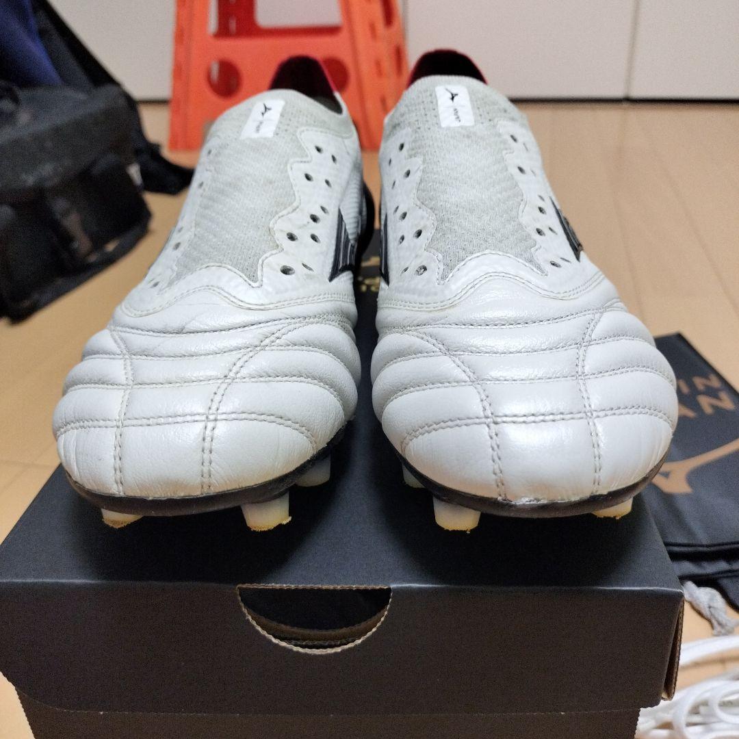 モレリアネオ4β 25cm