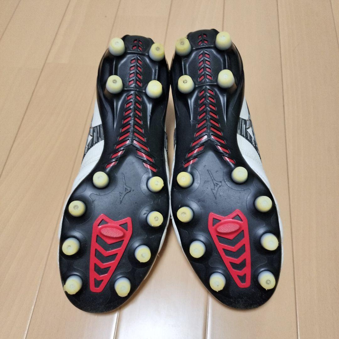 モレリアネオ4β 25cm