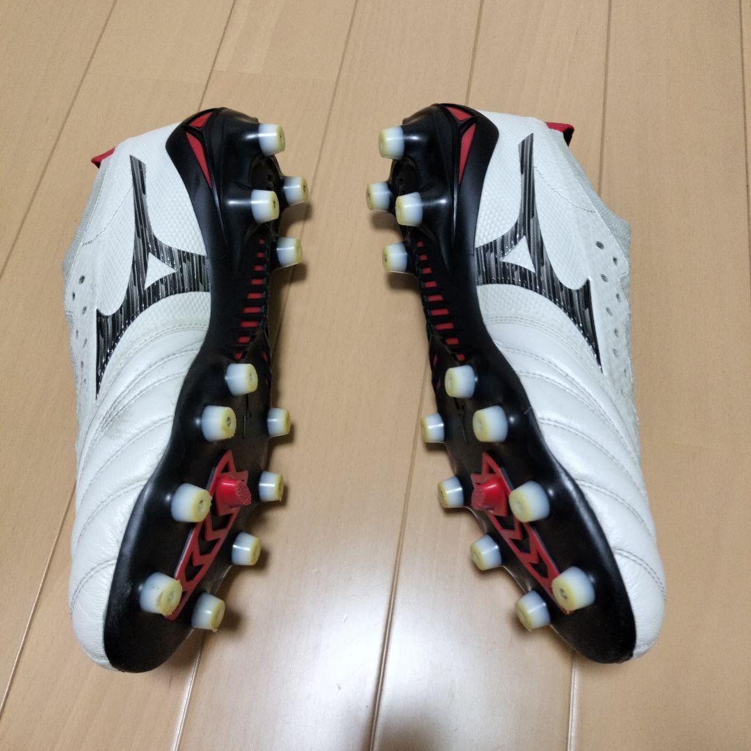 モレリアネオ4β 25cm