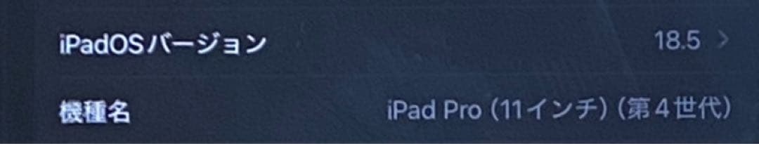 Apple iPad Pro (11インチ) 第4世代 シルバー