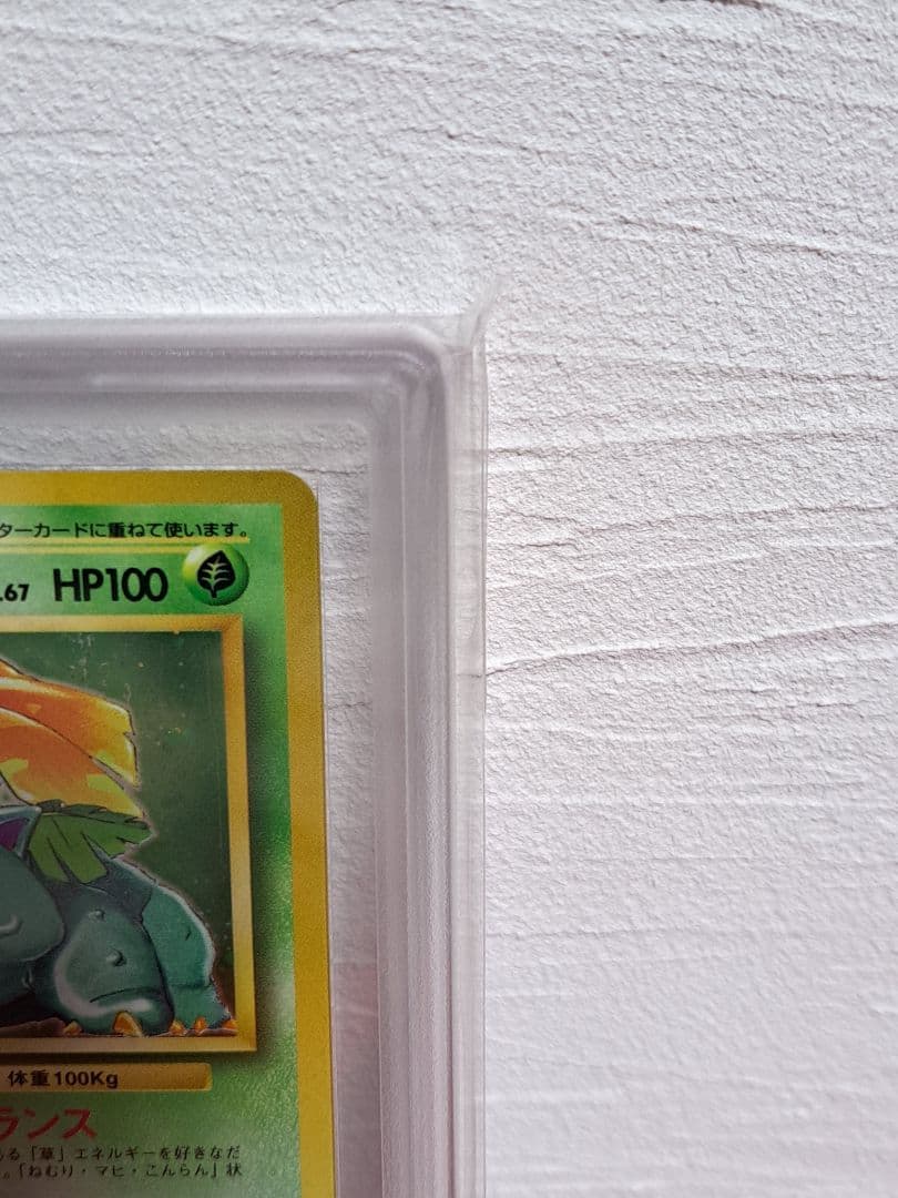 ポケカ　旧裏マークなし　フシギダネ　フシギソウ　フシギバナ　進化3点セット