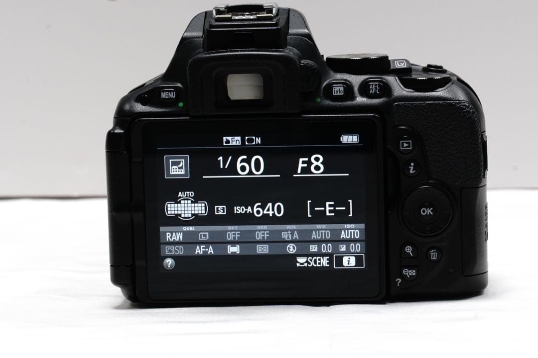Nikon D5500 スマホ転送 初心者大歓迎 手振れ補正付き 一眼レフ