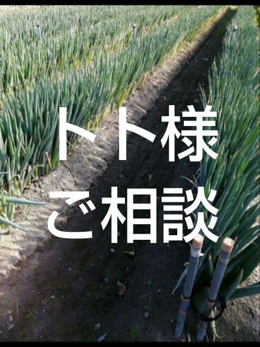 トト様　ご相談