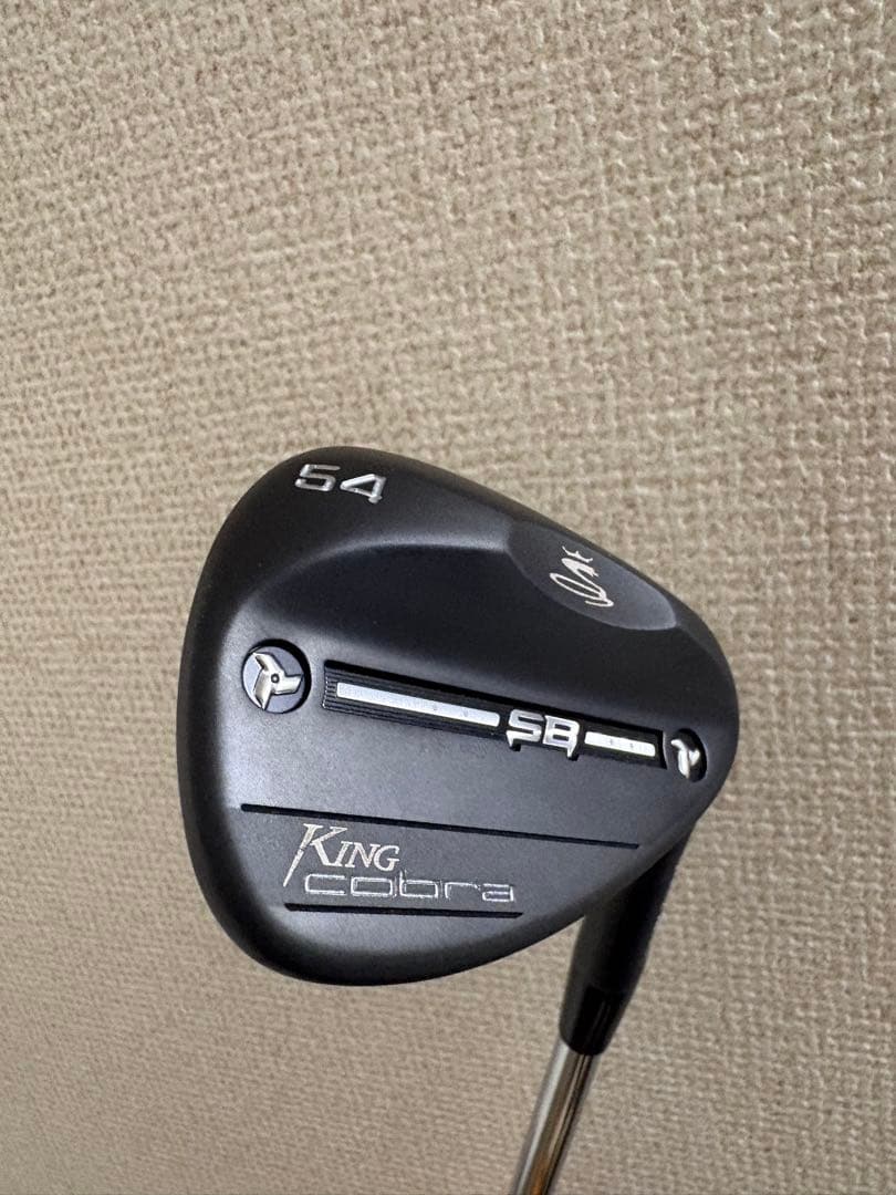 コブラKING SB 54 10ウェッジ　DGS200 ツアーイシュー