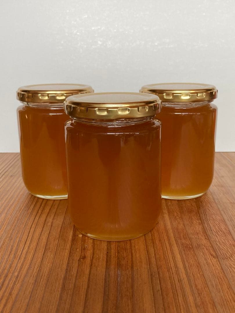 日本ミツバチのハチミツ　たれ蜜　300g×3個 ❣️送料込み‼️ ¥8,640