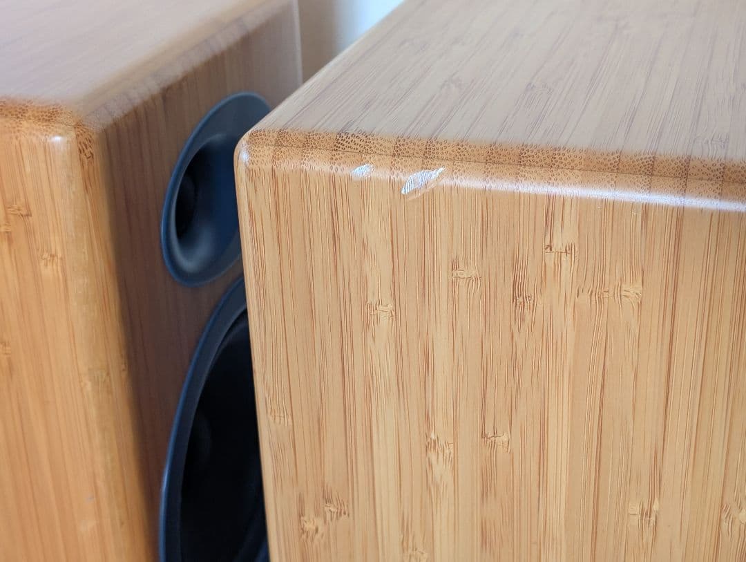 audioengine 5+ 並行輸入品