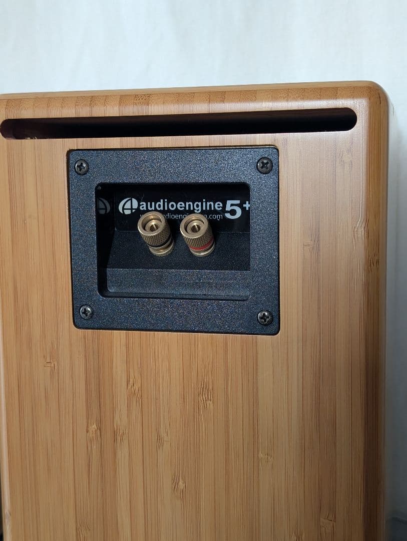 audioengine 5+ 並行輸入品