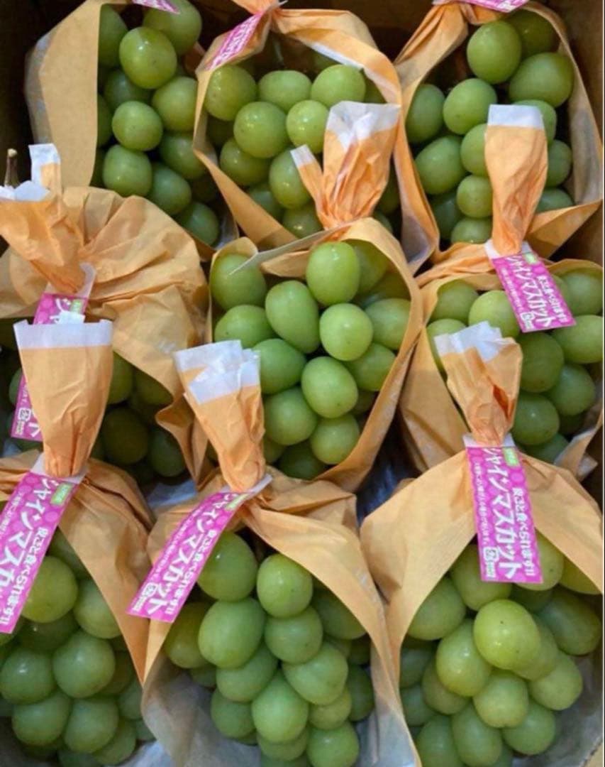 長野県産　シャインマスカット約5キロ