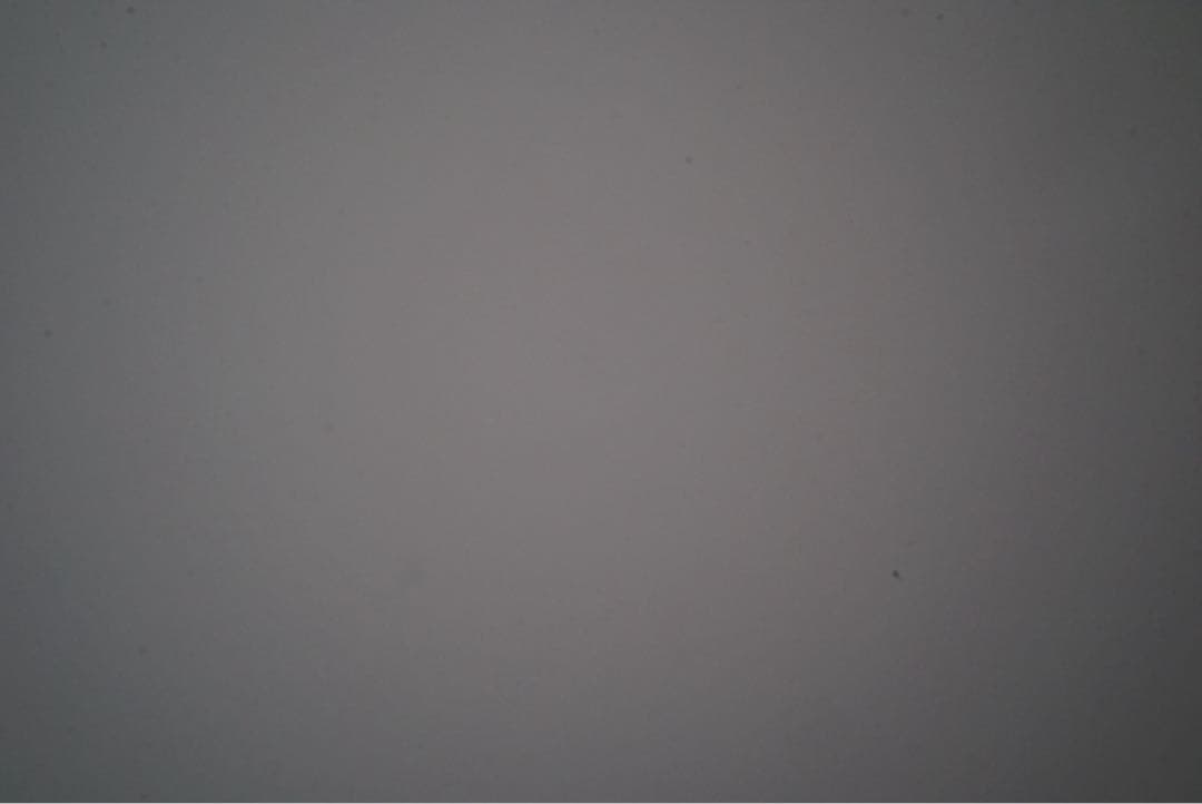 【ショット数4543枚！】SONY α7S 初代