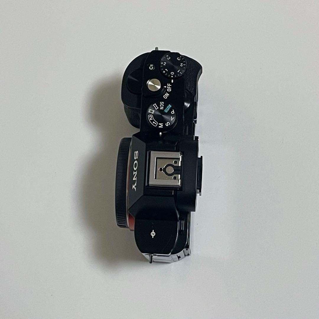 【ショット数4543枚！】SONY α7S 初代