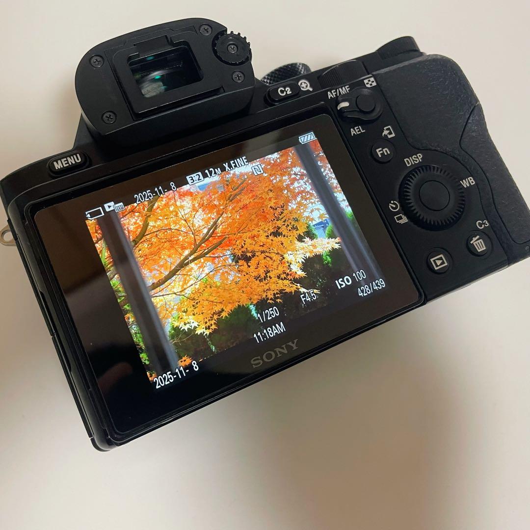 【ショット数4543枚！】SONY α7S 初代