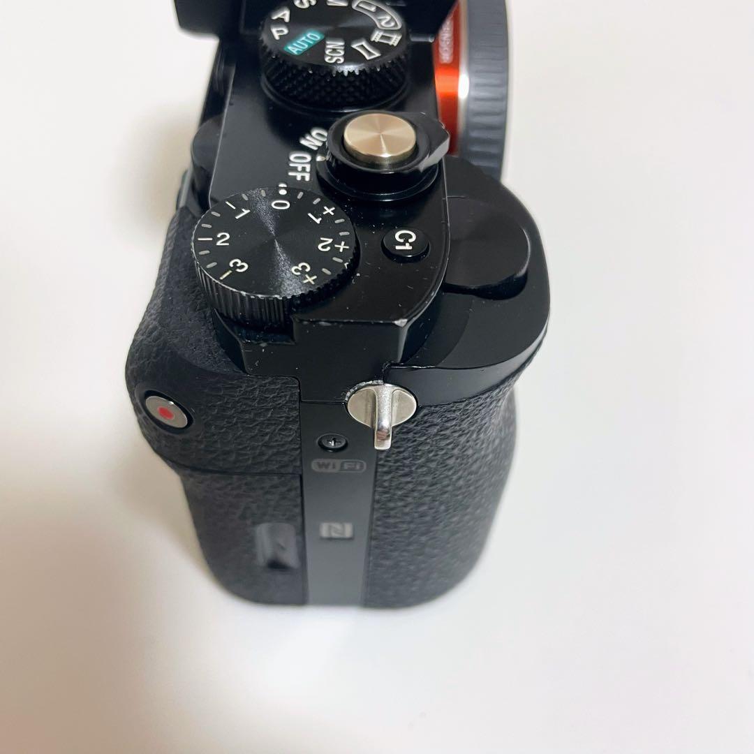 【ショット数4543枚！】SONY α7S 初代