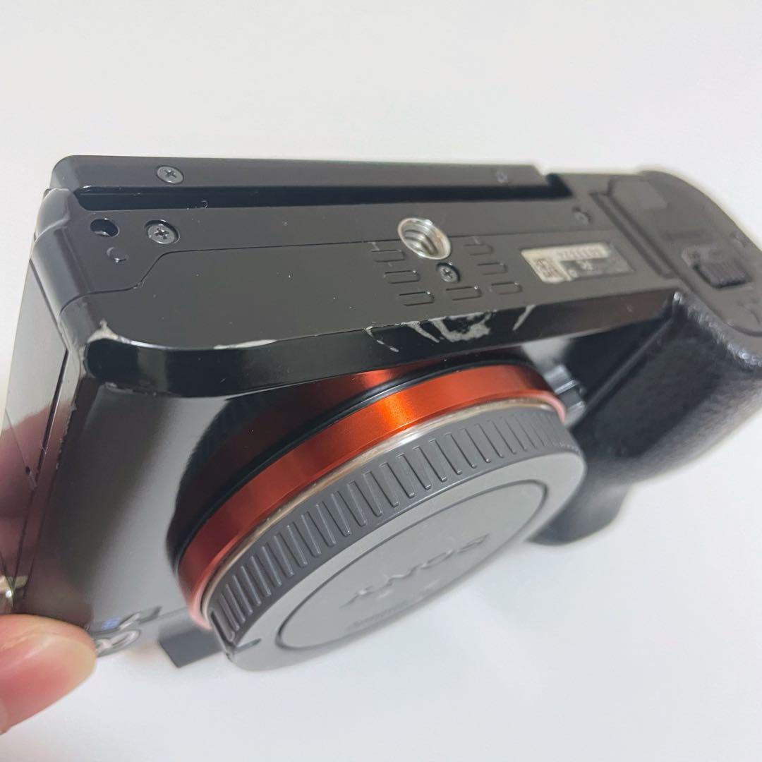 【ショット数4543枚！】SONY α7S 初代