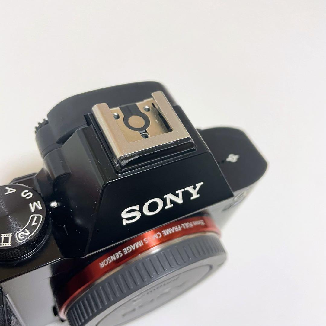 【ショット数4543枚！】SONY α7S 初代