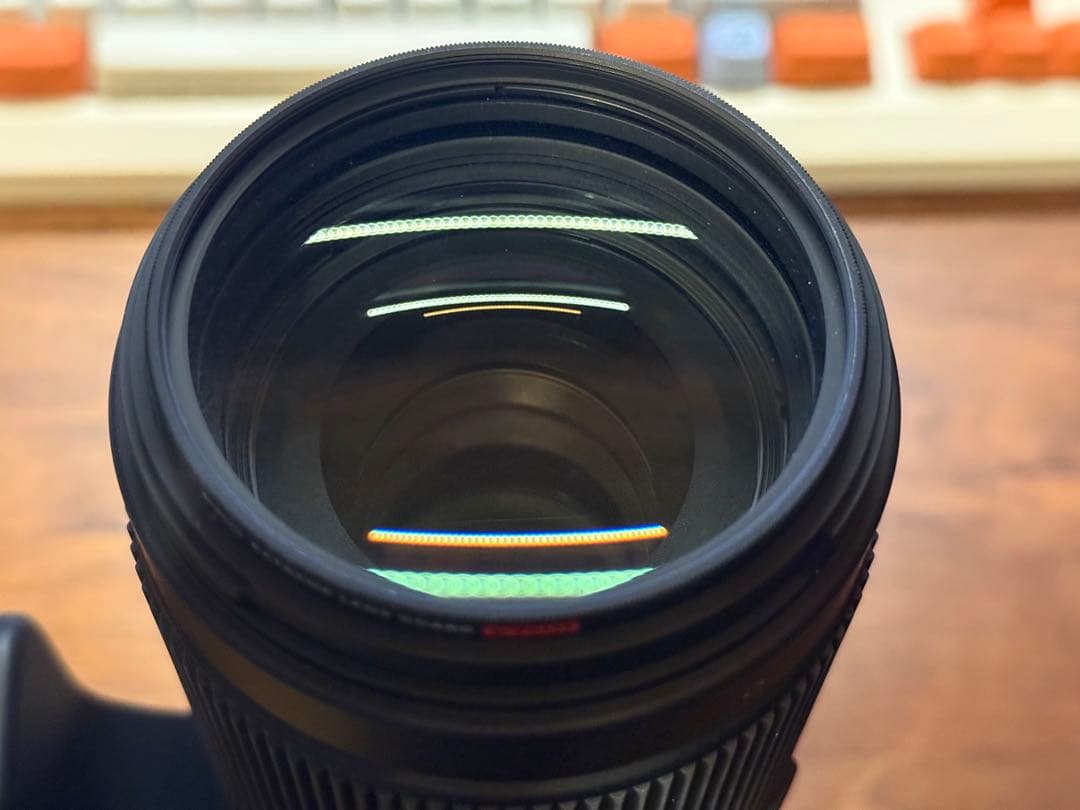 SIGMA 100-400mm F5-6.3 DG OS Lマウントレンズ