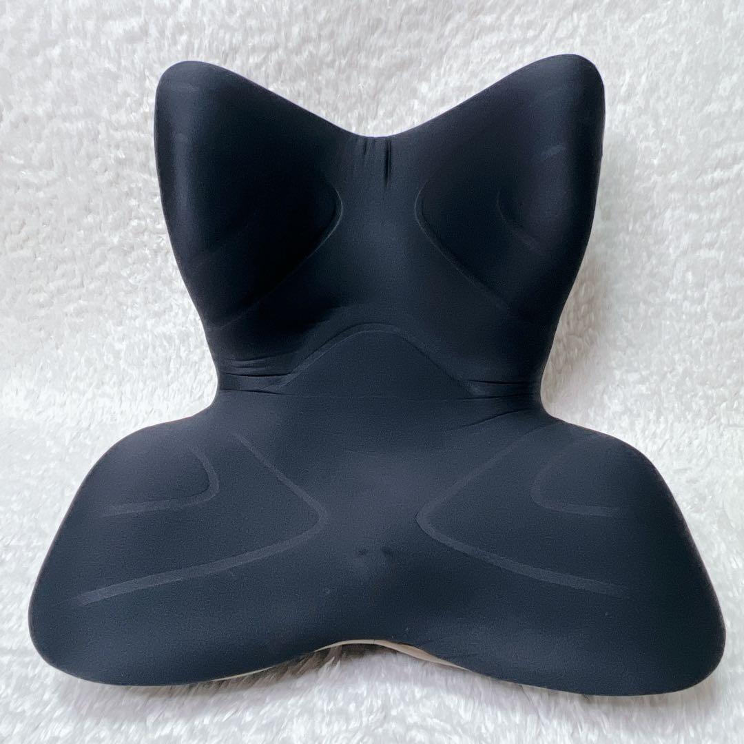 MTG Style PREMIUM スタイル プレミアム 黒 姿勢サポートチェア