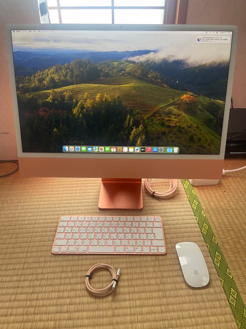 iMac 【M1 / 8コアGPU / 8GBメモリ/ 250GBSSD】