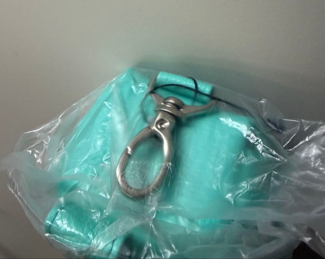 【沖縄店限定】 新品未使用 #FR2 GOLF マルチケース ペイズリー柄