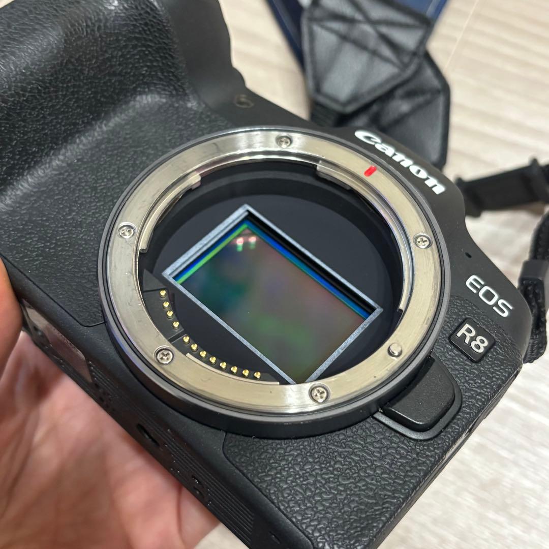EOS R8 ボディ