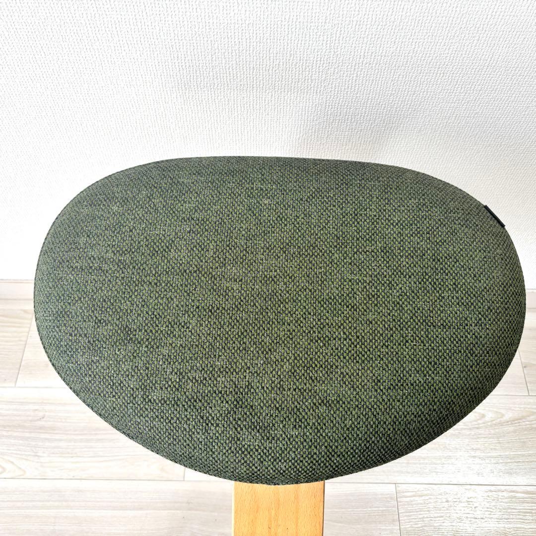 【廃盤希少カラー 】Rybo バランスイージー　Balans EASY グリーン