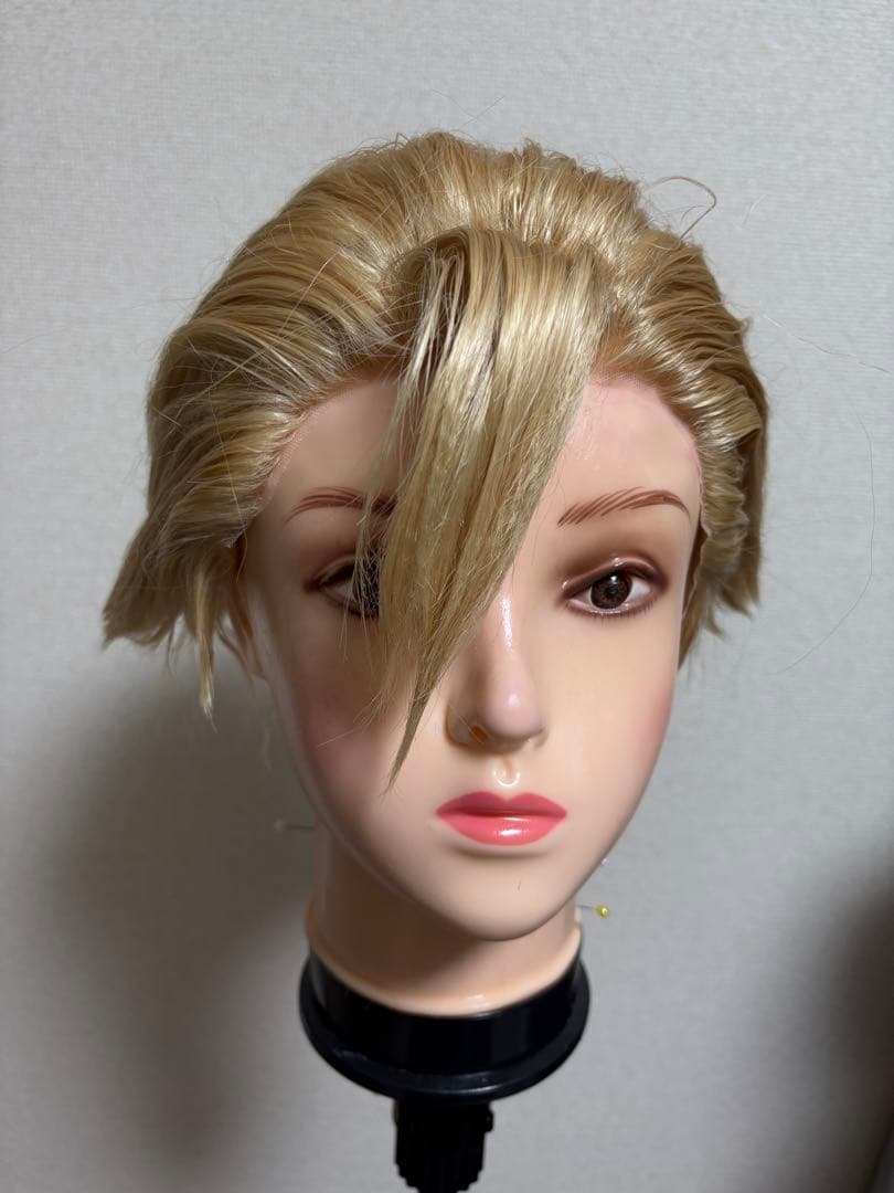 Dr.STONE スタンリー ウィッグ