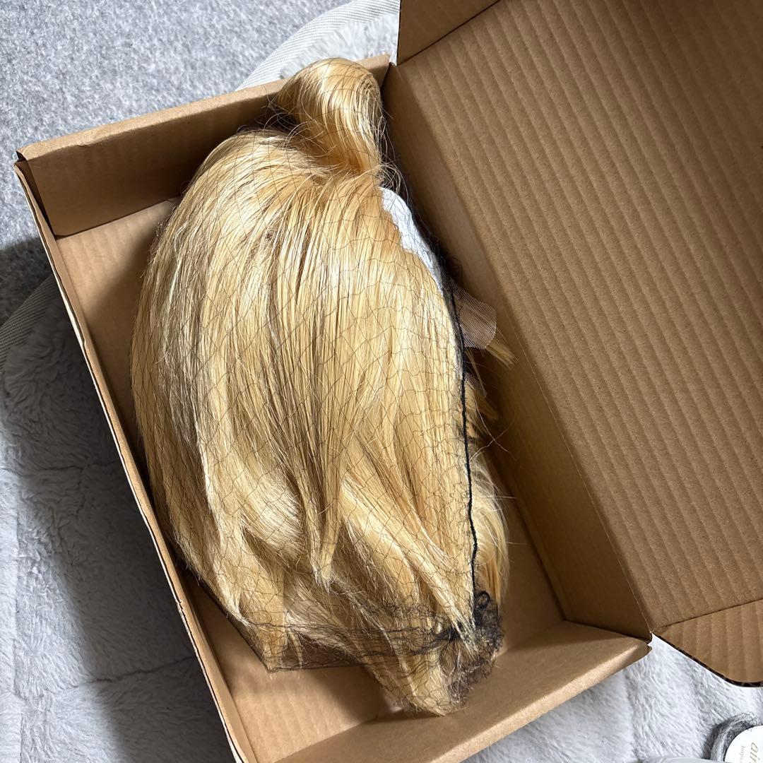 Dr.STONE スタンリー ウィッグ