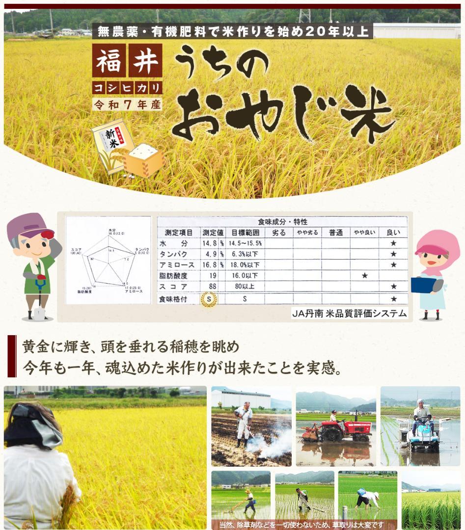 無農薬有機米コシヒカリ玄米１５kg（福井７年産新米）食味ランク最高 S・精米無料