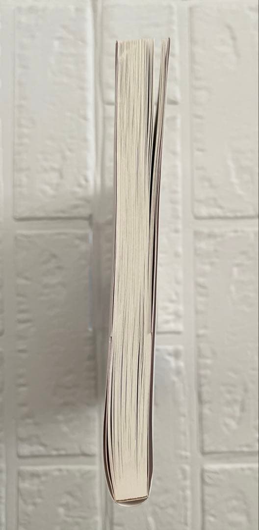 【初版・帯付き】君に届け イラストレーションズ high school days