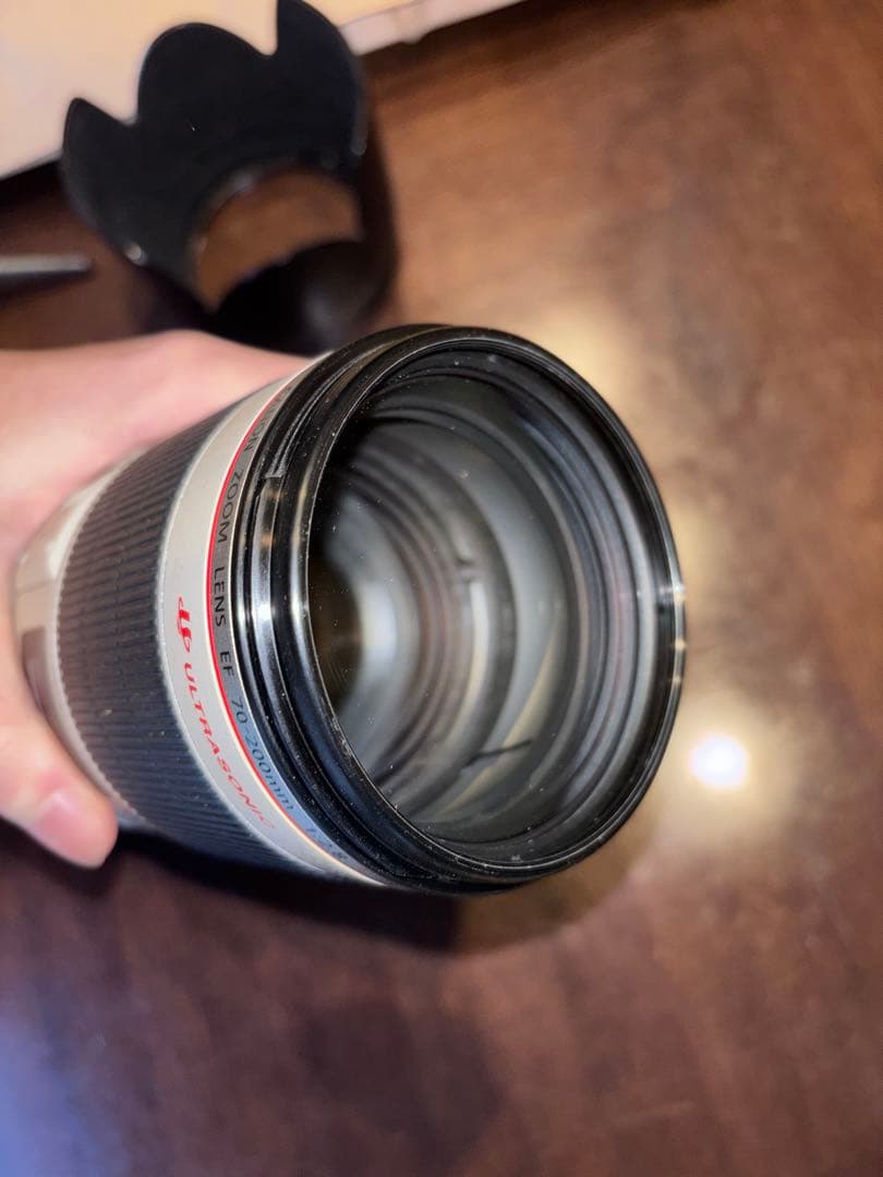 Canon EF 70-200mm F2.8L IS Ⅱ USM