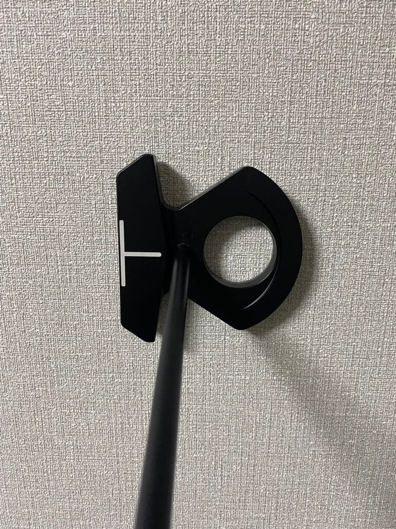 【特注】L.A.B GOLF / DF3 ACCRAシャフト　34inch