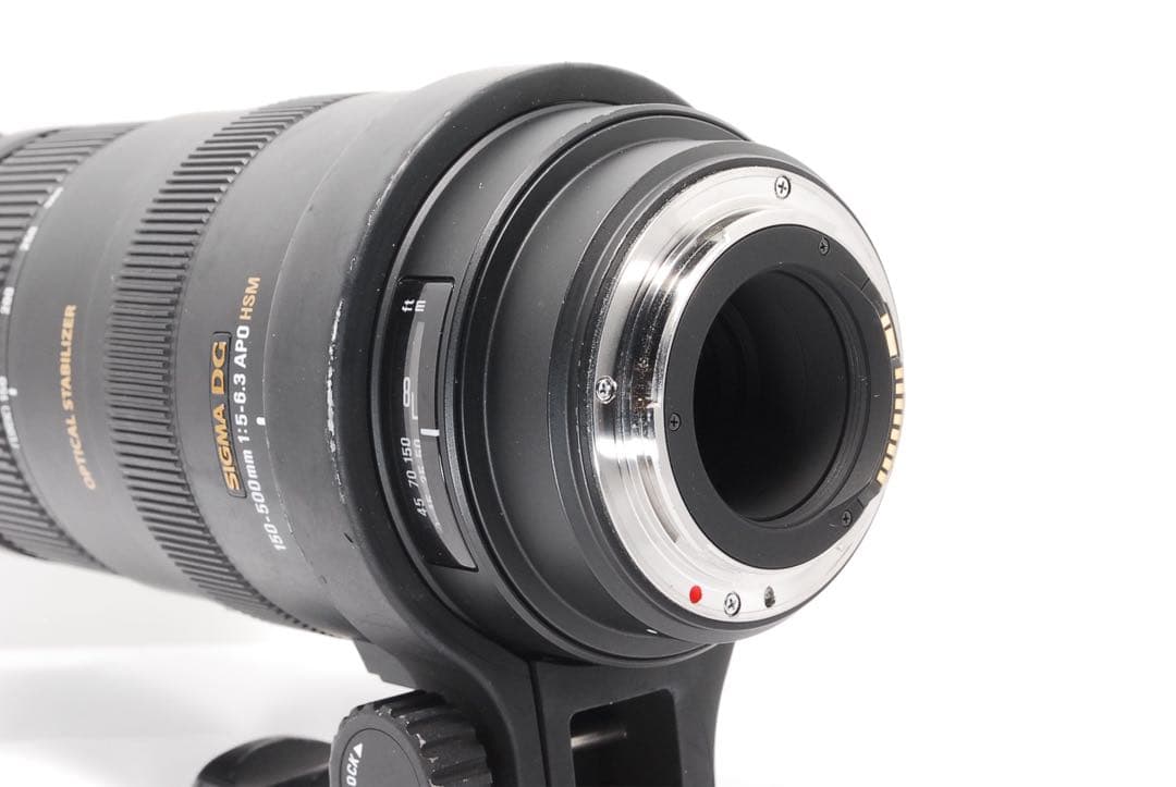 超望遠の世界へ！ SIGMA 150-500mm DG HMS Canon用