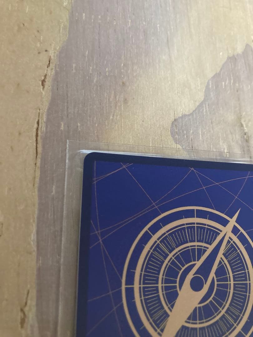 モンキー・D・ルフィ SEC パラレル OP05-119 ケース付き