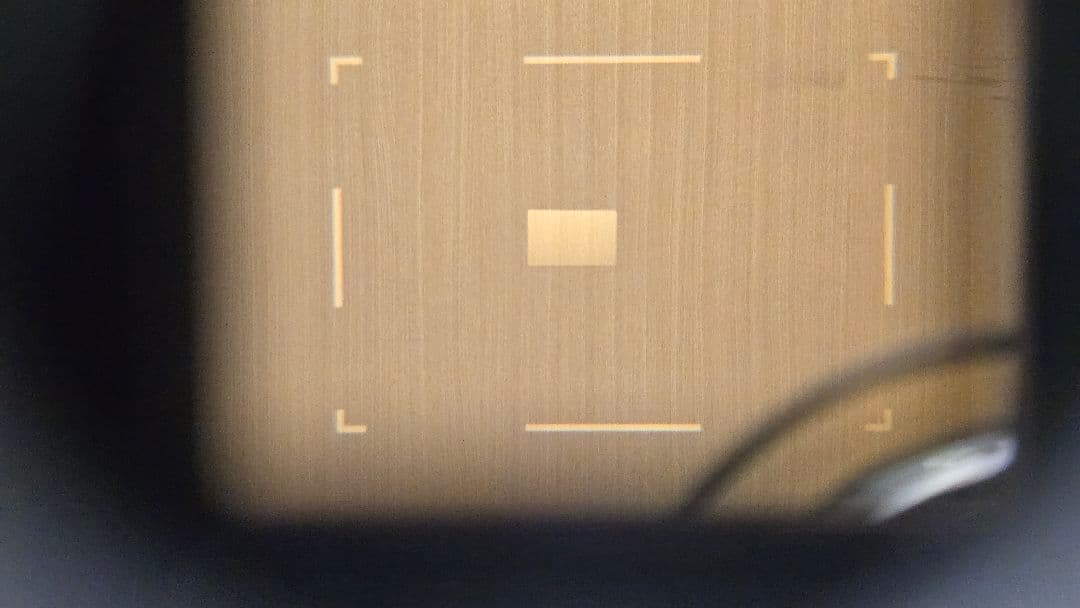 Epson R-D1S デジタルカメラ 本体