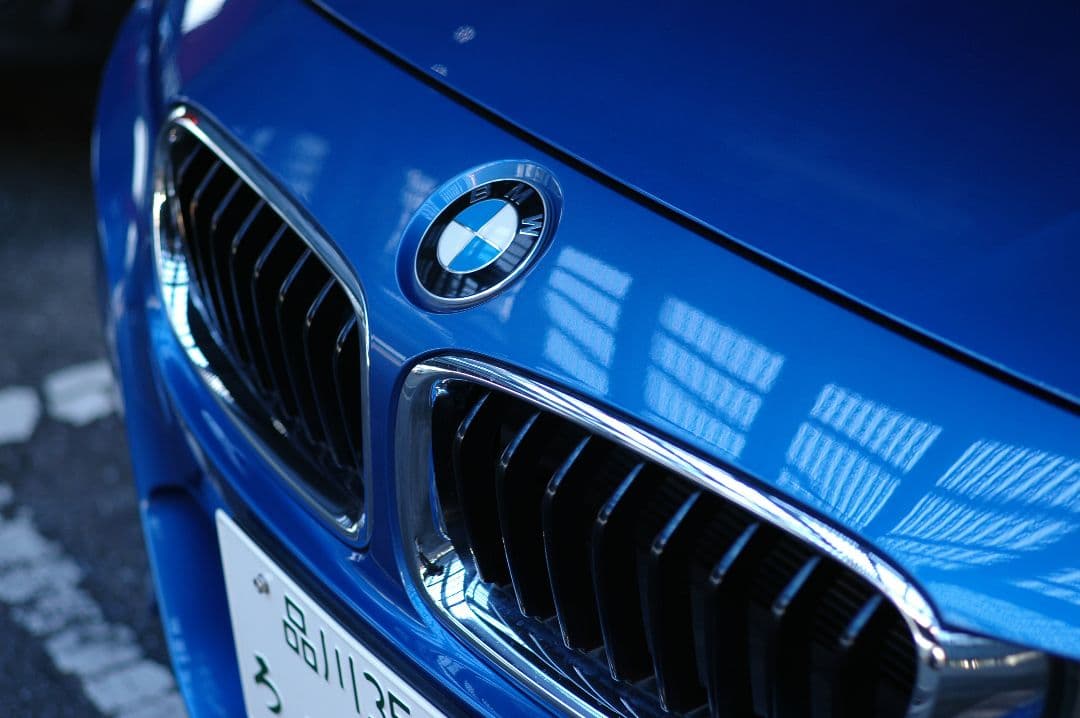 Epson R-D1S デジタルカメラ 本体