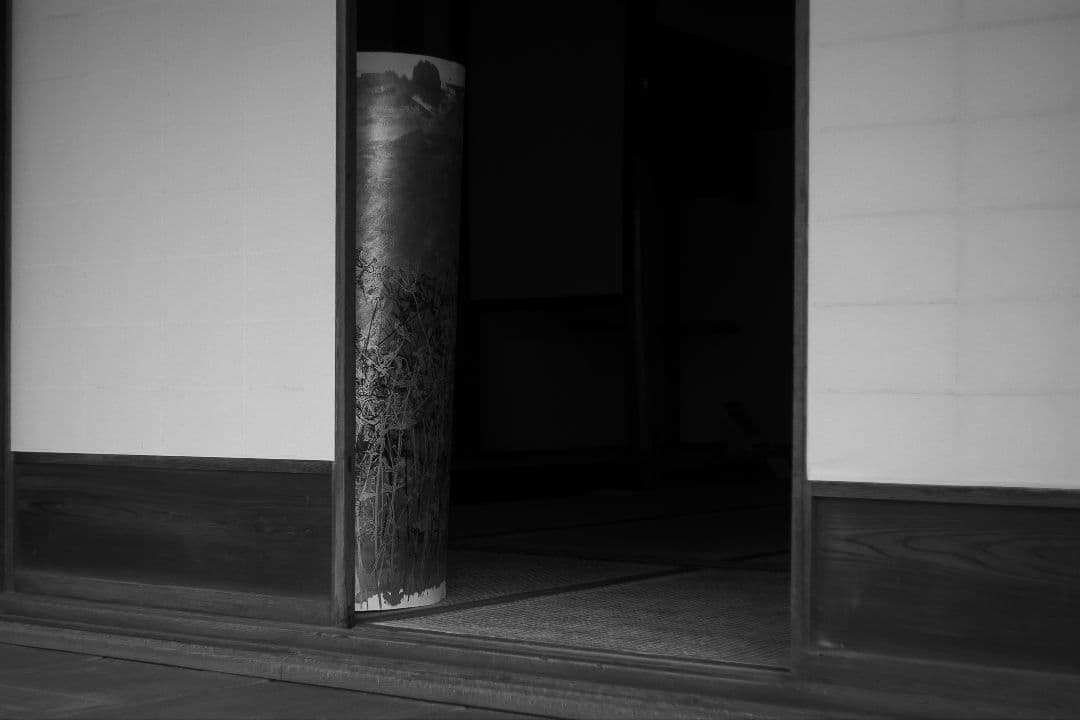 Epson R-D1S デジタルカメラ 本体