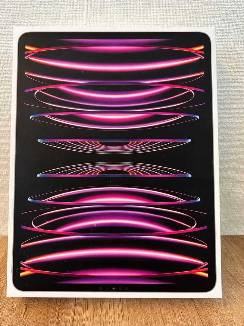 Apple iPad Pro （第6世代）スペースグレー 本体