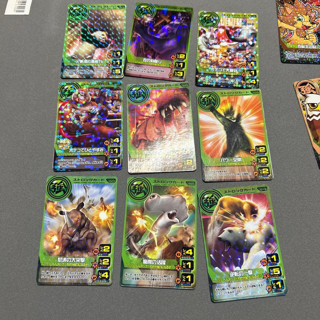 アニマルカイザー　カード