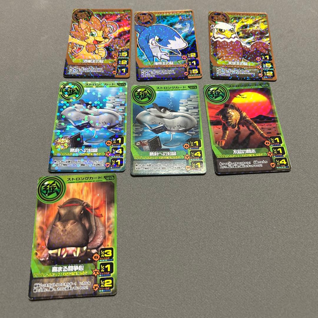 アニマルカイザー　カード