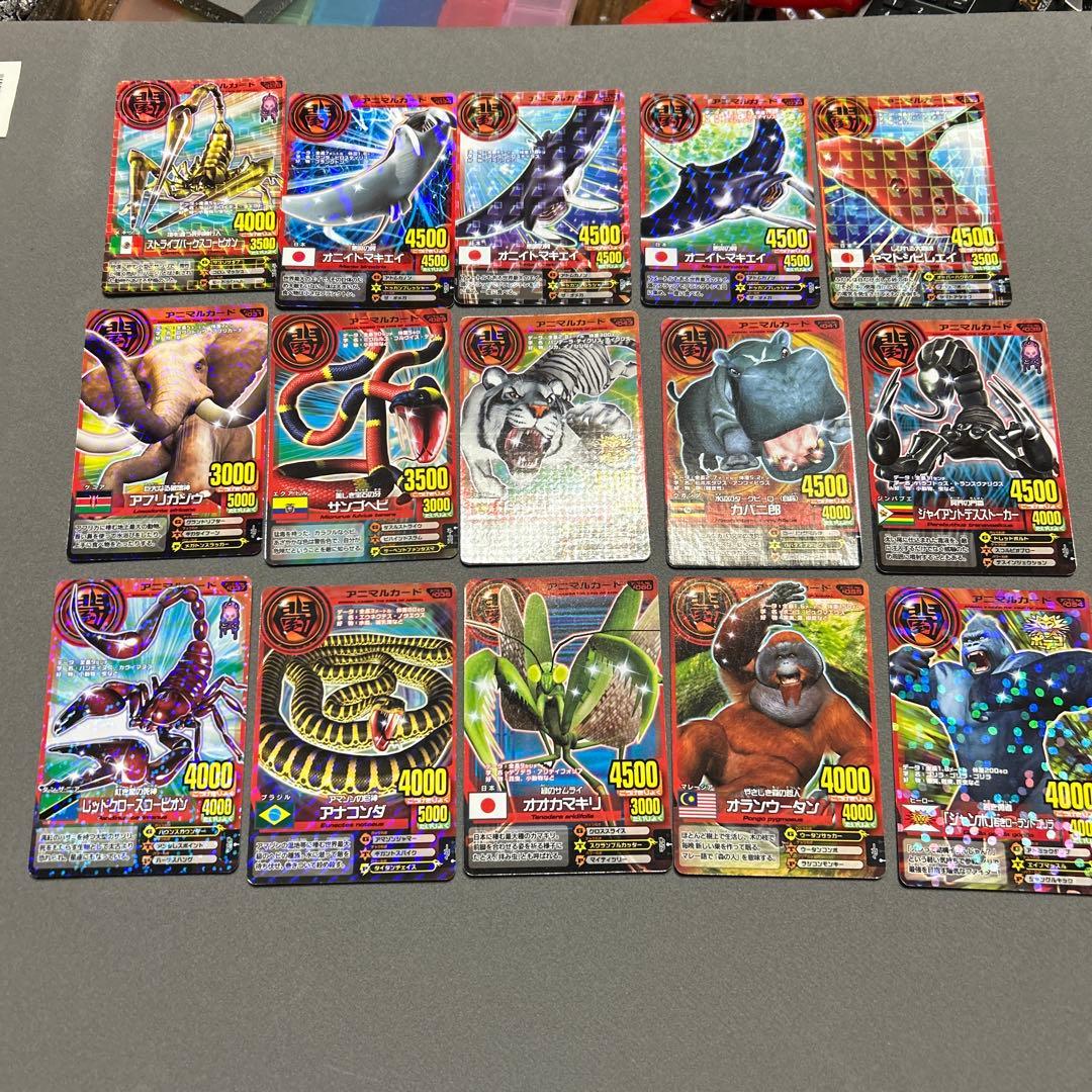 アニマルカイザー　カード