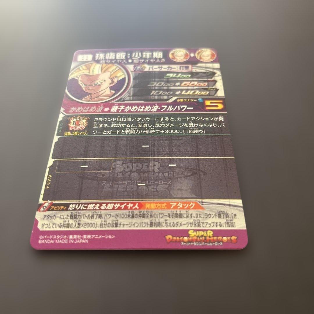 UM12-SEC3 LC 孫悟飯:少年期　SDBH