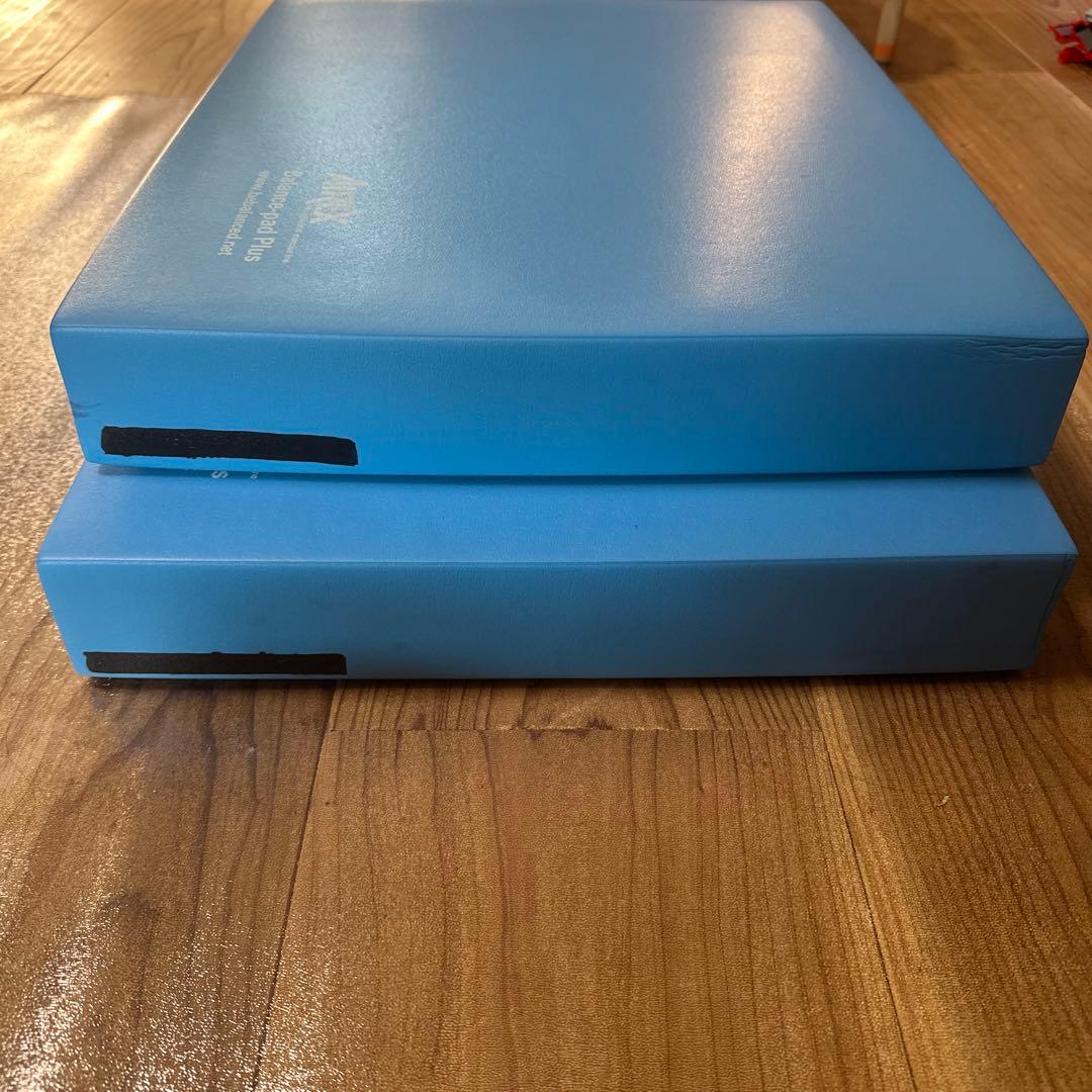 専用AIREX Balance-pad Plus 2枚セット