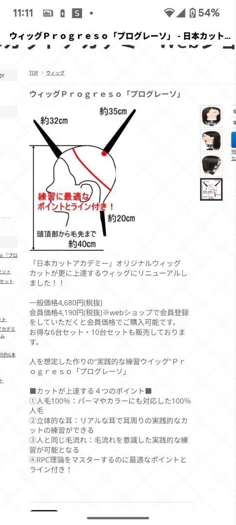 カットウィッグ 40cm